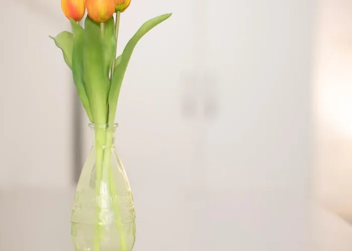 Residenza Отель типа 